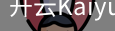 开元国际